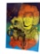 Vintage Original Jimi Hendrix Experience Poster