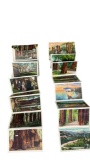 Redwood Highway and Big Trees Park California Vintage Post Card Collection Lot