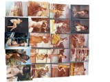 Vintage Pin Up Nude Female Model Photograph Collection Lot