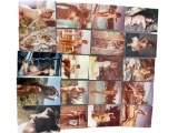 Vintage Pin Up Nude Female Model Photograph Collection Lot