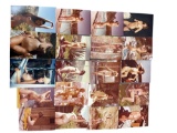 Vintage Pin Up Nude Female Model Photograph Collection Lot