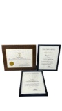 Karl Geurs Animation Film Certificate Awards Lot