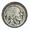 1921 Buffalo Nickel coin
