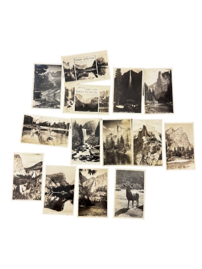 Vintage Yosemite Postcard Collection Lot