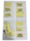 Storyboard Marvel Planet Hulk Samliu Original Animation Art Collection Lot