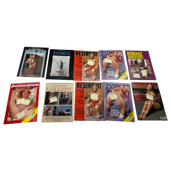 Vintage Adult Magazine Collection Lot of 10 NOS
