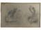 John James Audubon - Original Pencil Drawing with Turnbulls London Board Stamp