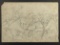 John Tenniel (1820-1914) Sketch On Paper Signed Lower Left