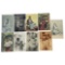 Antique Nude Erotic Ethnic Real Photo Postcard Collection Lot
