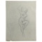 Alberto Vargas - Vargas Girls Original Signed Pin Up Art
