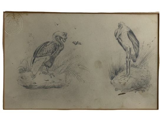 John James Audubon - Original Pencil Drawing with Turnbulls London Board Stamp