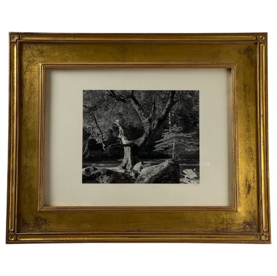 Ansel Adams Special Edition Photograph - Morning, Merced River, Yosemite