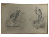 John James Audubon - Original Pencil Drawing with Turnbulls London Board Stamp