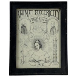 Animal Electricity The Stark For Frankenstein By Frau Sakra