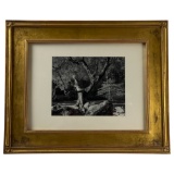 Ansel Adams Special Edition Photograph - Morning, Merced River, Yosemite