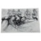 Randy Coleman Signed Gay Male Interest Original Drawing Illustration Art
