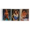 Vintage Video Vixen Signed Teri Weigel #59,#47, & Sarah Jane Hamilton Autographed Cards