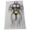 Vintage Randy Coleman Pen & Colored Pencil Drawing Signed on The Bottom Right