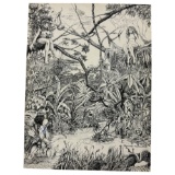 Vintage Pen & Pencil Warrior & Forest Nymph Drawing Signed By Jeffrey Robinson On Board, Measures at