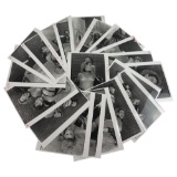 Vintage Black and White Photos Nudes lot of 20 Photos  8