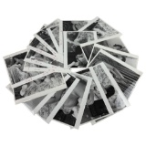 Vintage Black and White Photos Nudes lot of 20 Photos  8