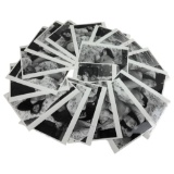 Vintage Black and White Photos Nudes lot of 20 Photos  8