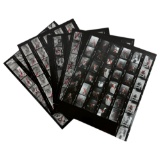 Vintage Black and White Photos Nudes Contact Sheets Photos  8