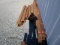I Beam 8WF13 10' 2 1/4