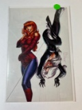 THE AMAZING SPIDERMAN #13 VARIANT - UNKNOWNCOMICBOOKS 