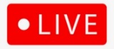 LIVE ONLINE BIDDING/AUDIO/CHAT - JUNE 23rd @ 11AM