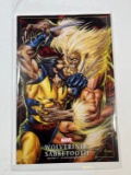 WOLVERINE & SABRETOOTH (WOLVERINE #17) JOE JUSKO MARVEL MASTERPIECES COVER