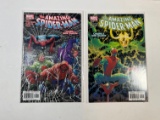 THE AMAZING SPIDERMAN #503, 504 