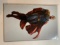 THE BOYS: DEAR BECKY #1 CARLA COHEN VIRGIN VARIANT LTD 1000 COPIES