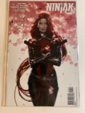 NINJAK #4 COVER A 1ST APPERANCE OF UNDEAD MONK AND SHADOW SEVEN ORIGIN OF R