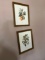 ANNE OPHELIA DOWDEN PRINTS (SIGNED) ASSORTED FRUIT - APROCOT, POMEGRANATE,