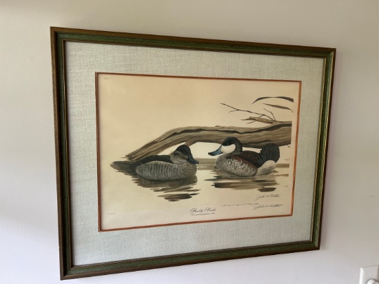 JOHN A RUTHVEN LIMITED EDITION PRINT - RUDDY DUCKS ARTWORK - FRAMED - SIGNE