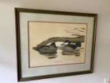 JOHN A RUTHVEN LIMITED EDITION PRINT - RUDDY DUCKS ARTWORK - FRAMED - SIGNE