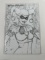 HARLEY QUINN POISON AND POISON IVY #1 MCTEIGUE COVER C