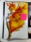 SIGNED PHOENIX ART PRINT