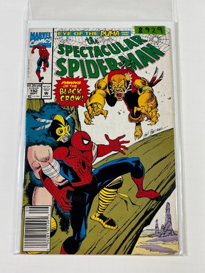 THE SPECTACULAR SPIDERMAN #192 - NEWSTAND