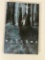 WYTCHES VOLUME 1