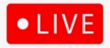 LIVE AUDIO - FEB 8th - STARTING 11:30am EST - LIVE ONLINE BIDDING