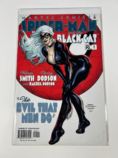 SPIDER-MAN AND THE BLACK CAT #1