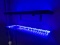 ILLUMINATED SHELVES - PLEXIGLASS TOPS