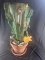 HANDPAINTED CACTUS ARTWORK (CAR DOOR) IN POT