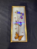 BUTTERFLY DISPLAY - FRAMED (MADE IN BRAZIL)