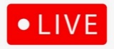 10am EST - JUNE 10th LIVE AUDIO - ONLINE BIDDING ONLY