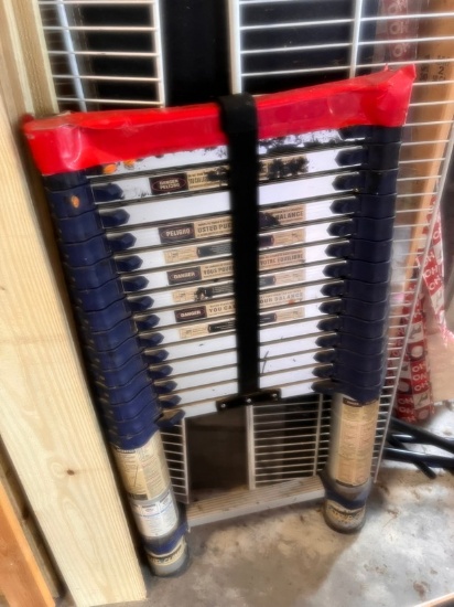 Extending Ladder