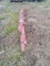 6in Auger Bit