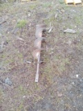 8in Auger Bit